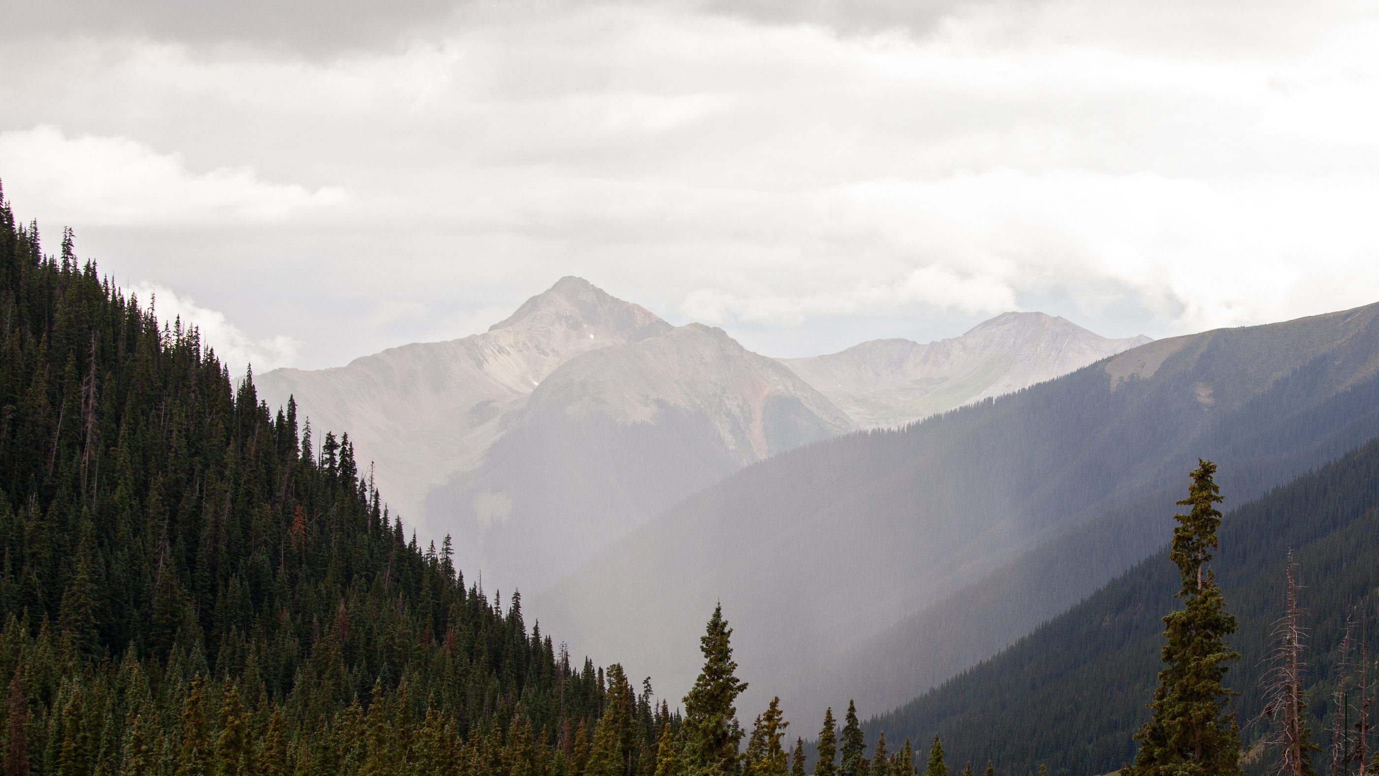 Morning mist lifting from a forested Colorado valley