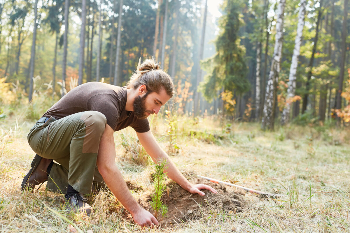 How to Be of Service on Earth Day