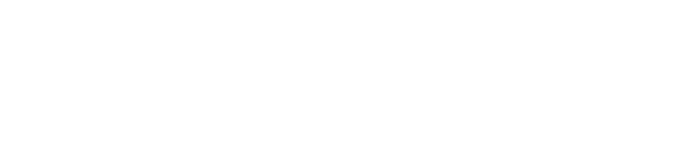 Valiant Living Mens Professional Program